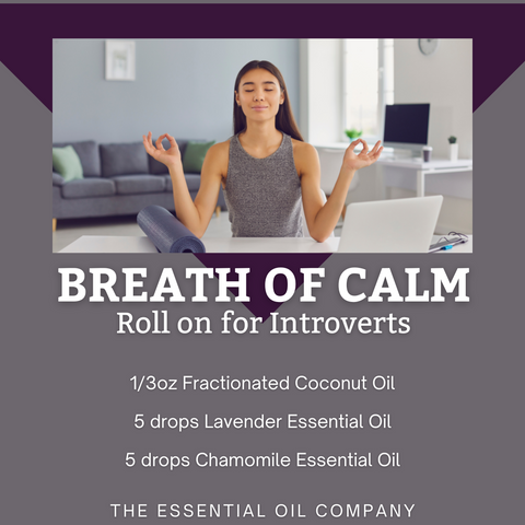 Breathe of Calm Roll On for Introverts