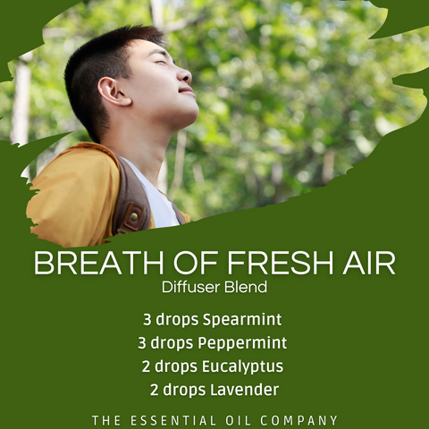 Breath of Fresh Air Diffuser Blend
