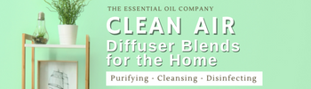 Clean Air Diffuser Blends for the Home