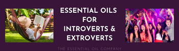 Essential Oils for Introverts & Extroverts