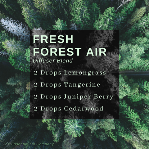 National Forest Essential Oil Diffuser Blends