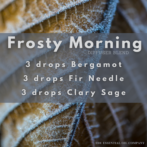 Frosty Morning Diffuser Blend