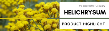 Helichrysum Product Highlight