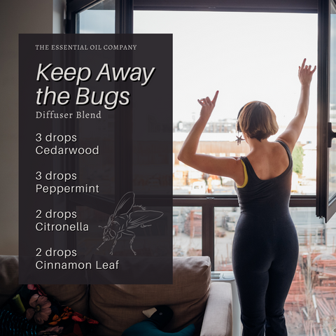 Keep Away the Bugs Diffuser Blend