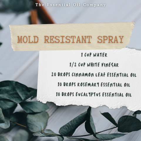 Mold Resistant Spray