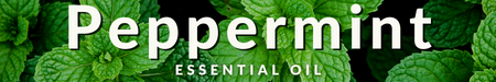 Peppermint Essential Oil