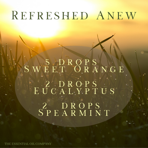 refreshed anew essential oil blend