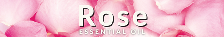 Rose Essential Oil