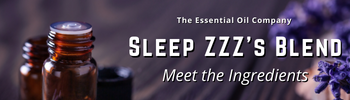 Sleep ZZZ's Blend: Meet the Ingredients
