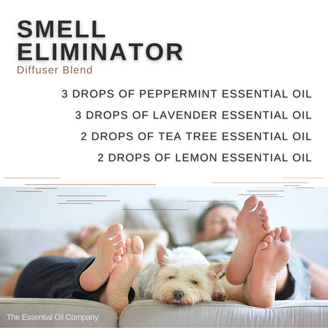 Smell Eliminator  Diffuser Blend