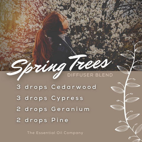 Spring Trees Diffuser Blend