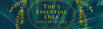 Top 5 Essential Oils used with CBD