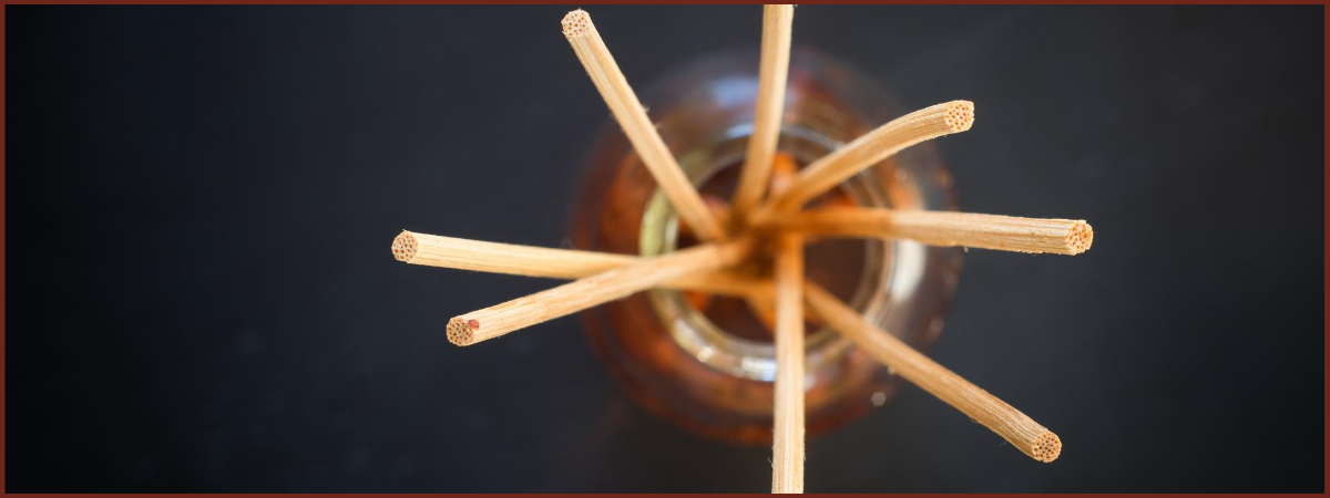 reed diffuser for essential oils