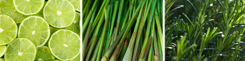 limes, lemongrass and rosemary