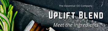 Uplift Blend: Meet the Ingredients