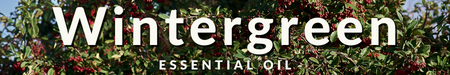 Wintergreen Essential Oil