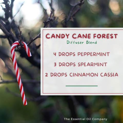 Candy Cane Forest Diffuser Blend