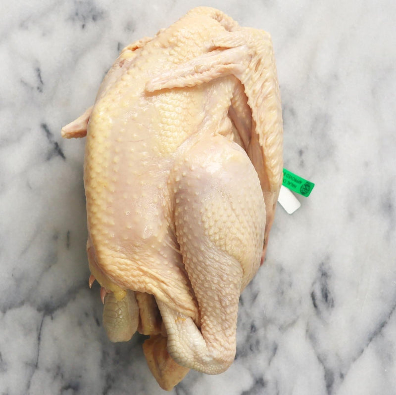 Fresh Organic Whole Chicken 1.4kg (Medium) 'Raised without Antibiotic' - Chilled