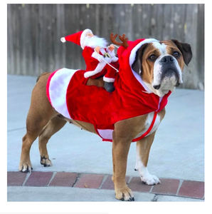 Christmas Santa Claus Saddle Dog Clothes