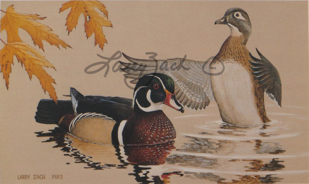 1984 Iowa Duck Stamp Larry Zach Wildlife Art