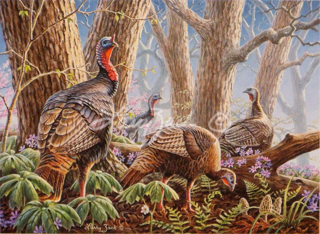 1997 National Wild Turkey Stamp Larry Zach Wildlife Art