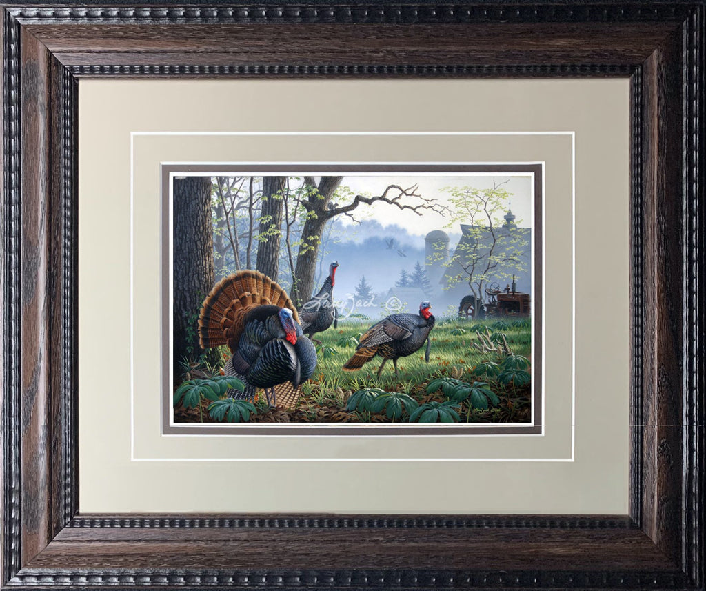 Foggy Morning Trio Wild Turkey Larry Zach Wildlife Art