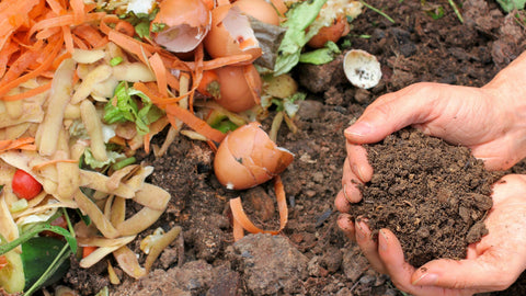 Food Scraps turn into Soil