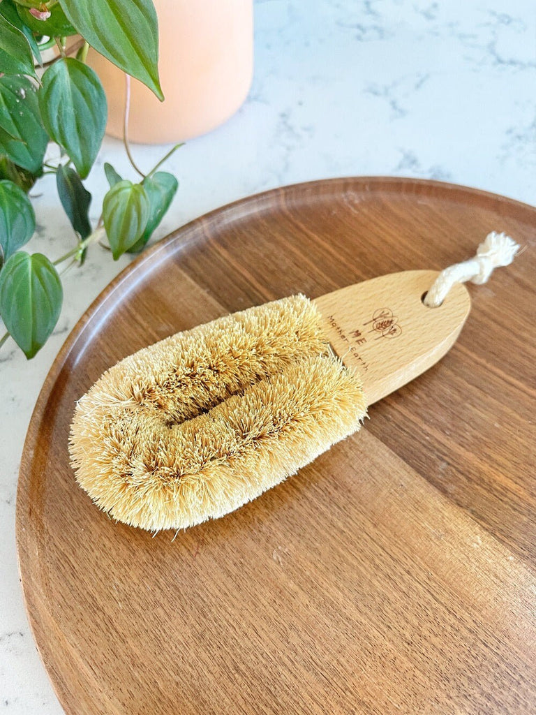 Pot Scrubber Brush – Au Sable