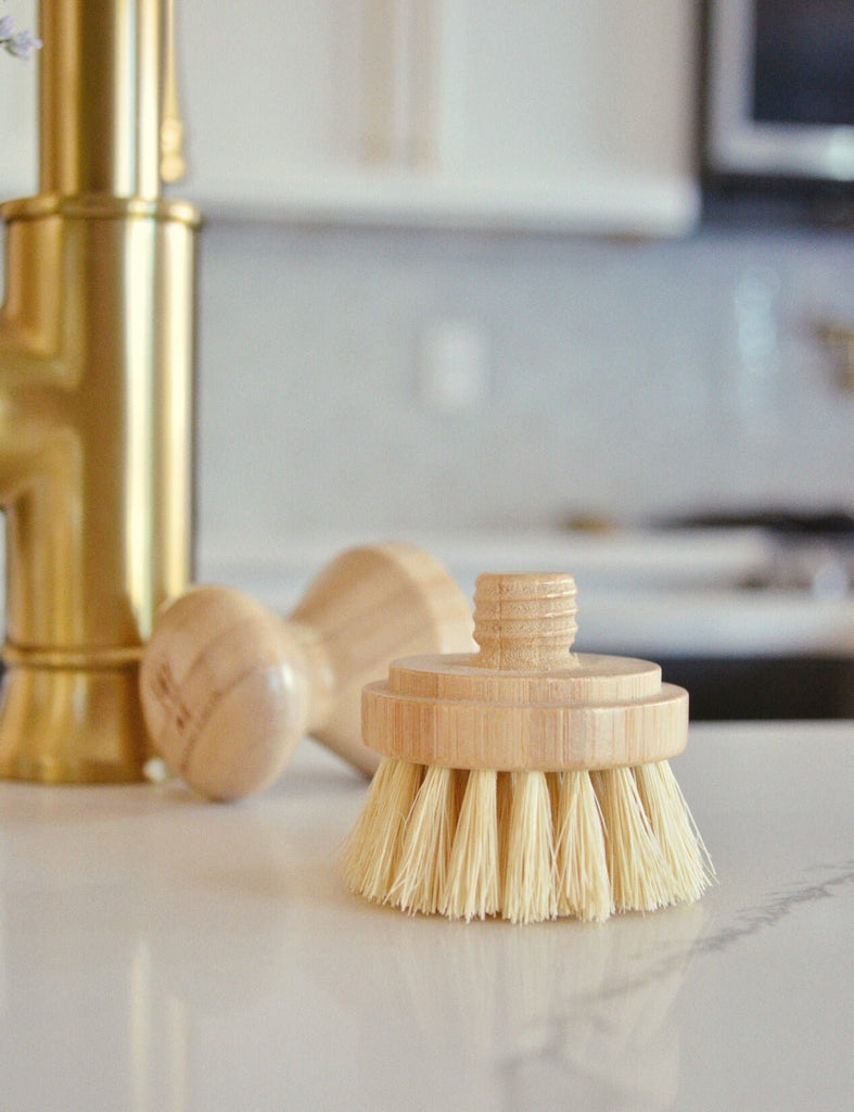 Coconut Fiber Dish Scrub Donut Brush – Neighborly