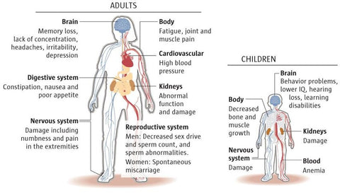 Lead poisoning