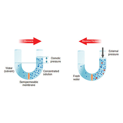 Osmosis inversa