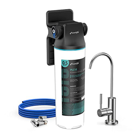 Travis Water Filters 102-DSP Dual Water Filter System, 10 Inch, for Flaker Ice  Makers