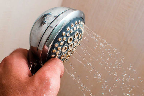 Shower Head