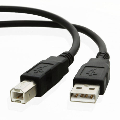 Usb 20 Type A Male To B Male Printer Cable 6 Feet 8733