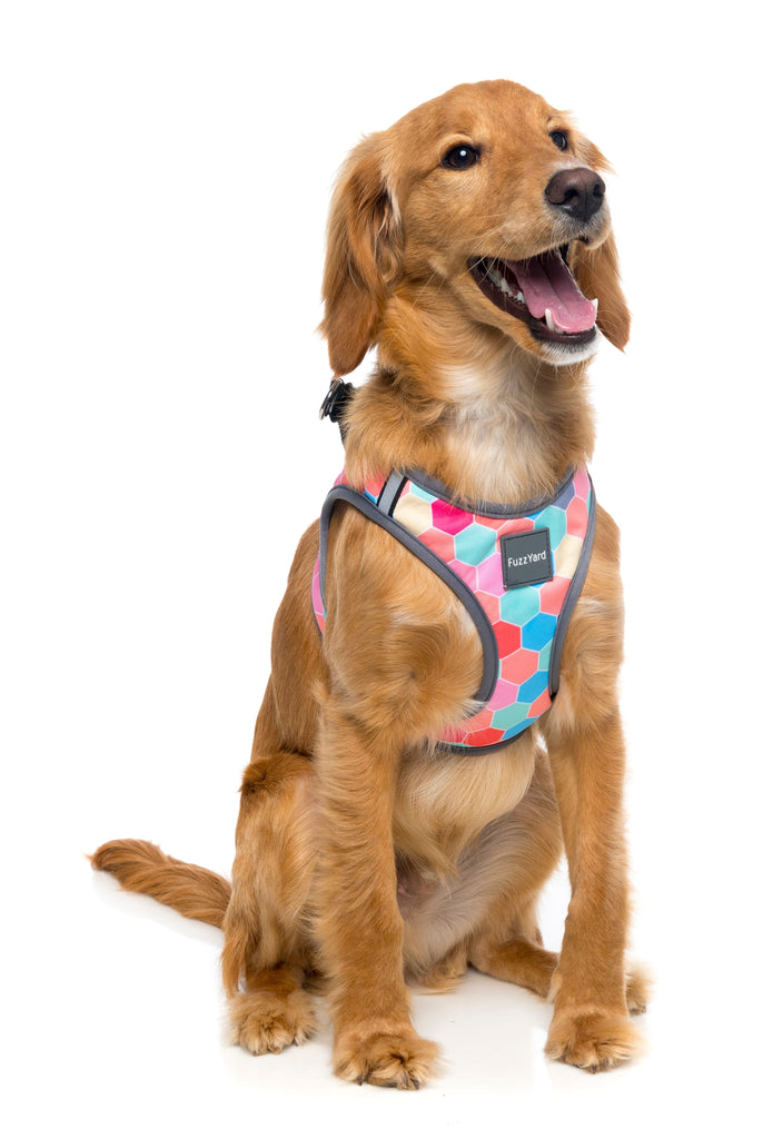 The Hive Step In Dog Harness Sniff Bark
