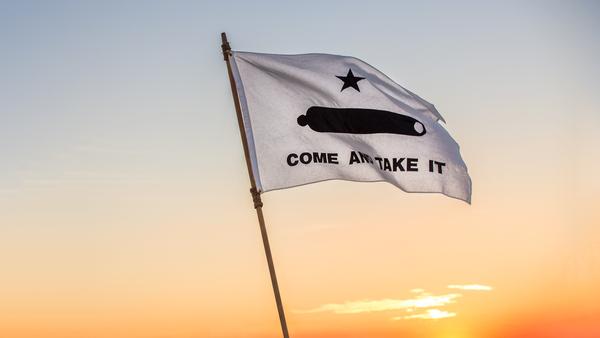 3x5 Poly - Come And Take It Flag