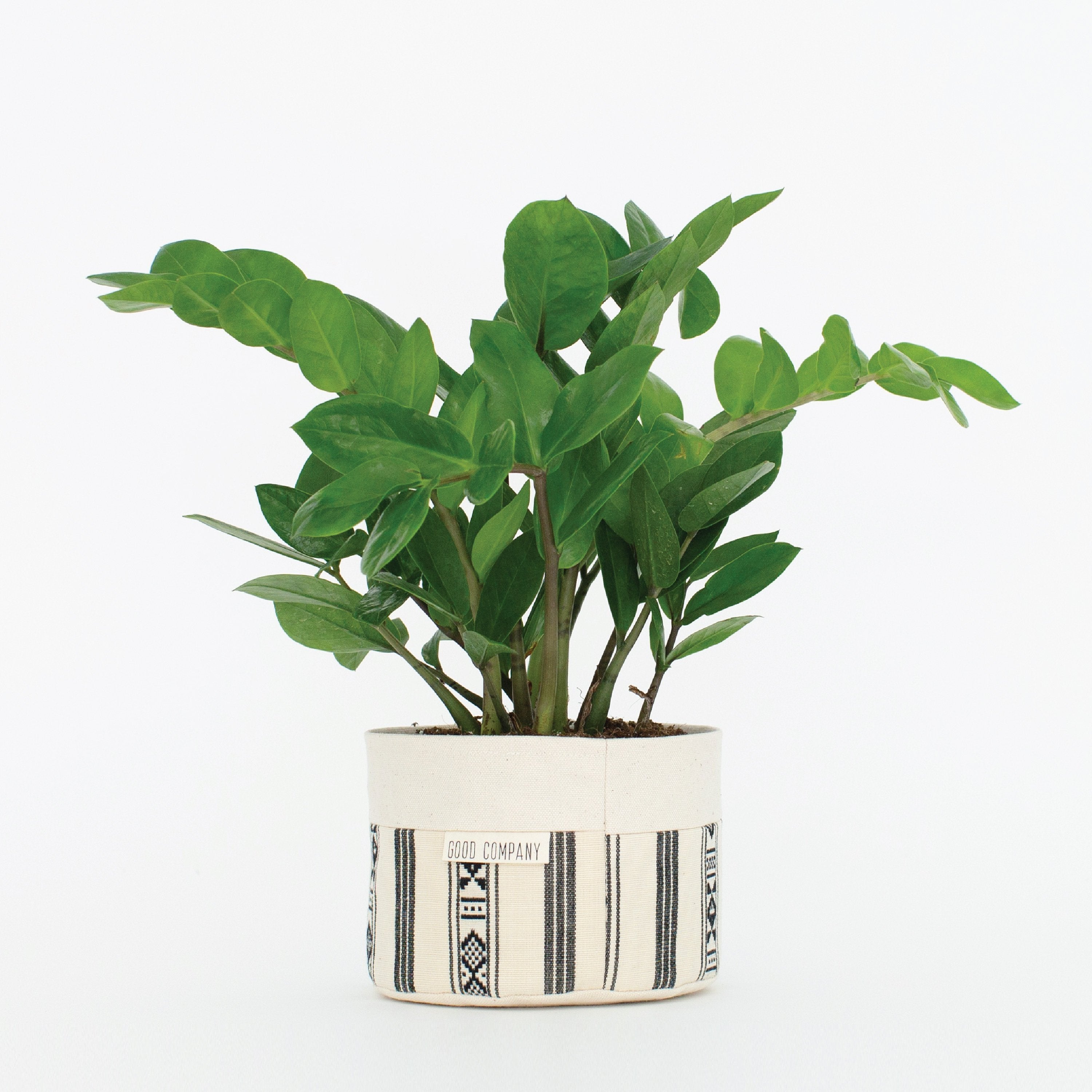 Canvas Sitting Planter