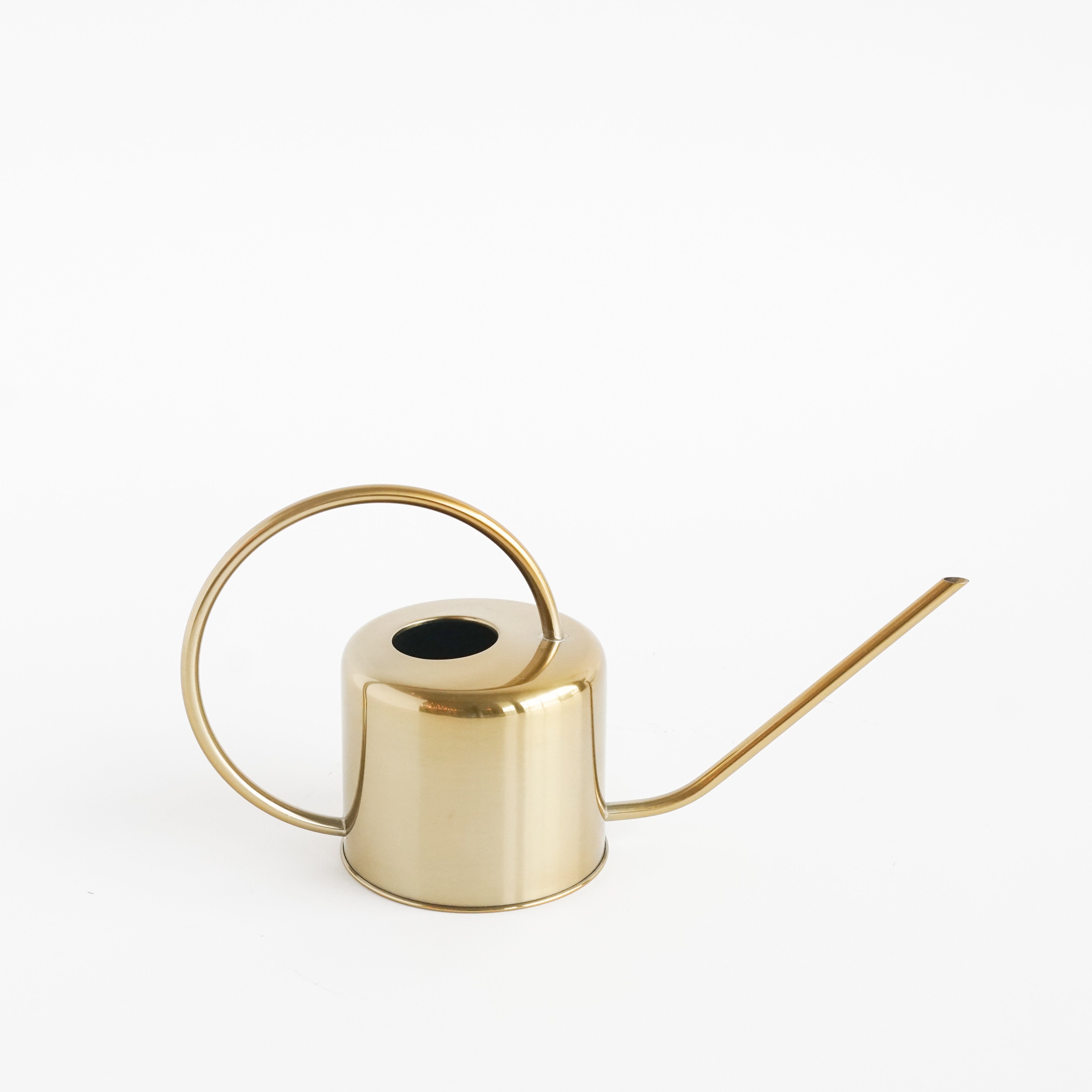 Gold Watering Can