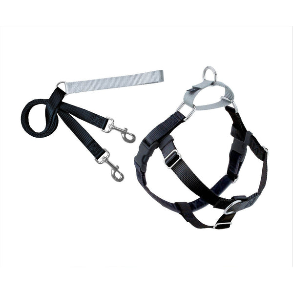 Jellybean Spice Freedom No-Pull Dog Harness - 2 Hounds Design