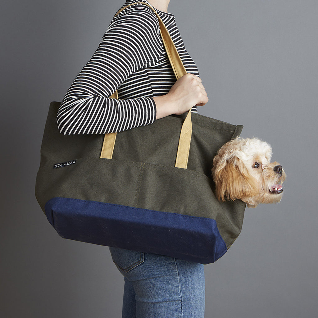 Canvas Pet Tote Olive Navy Lovethybeast