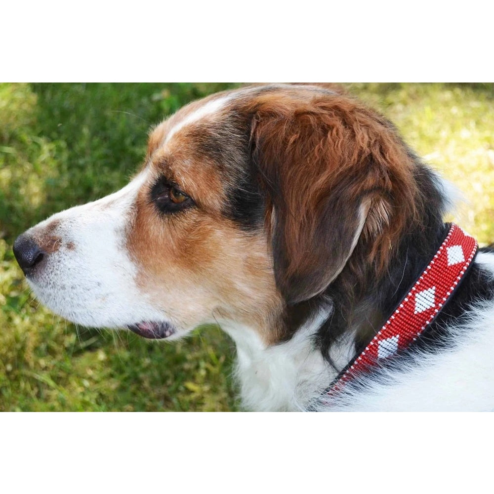 Unity Red Beaded Dog Collar