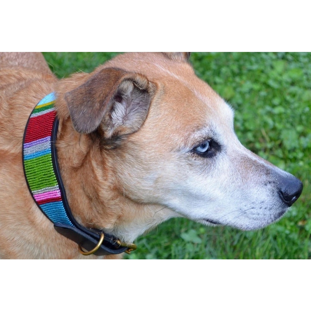 Bijou Beaded Dog Collar