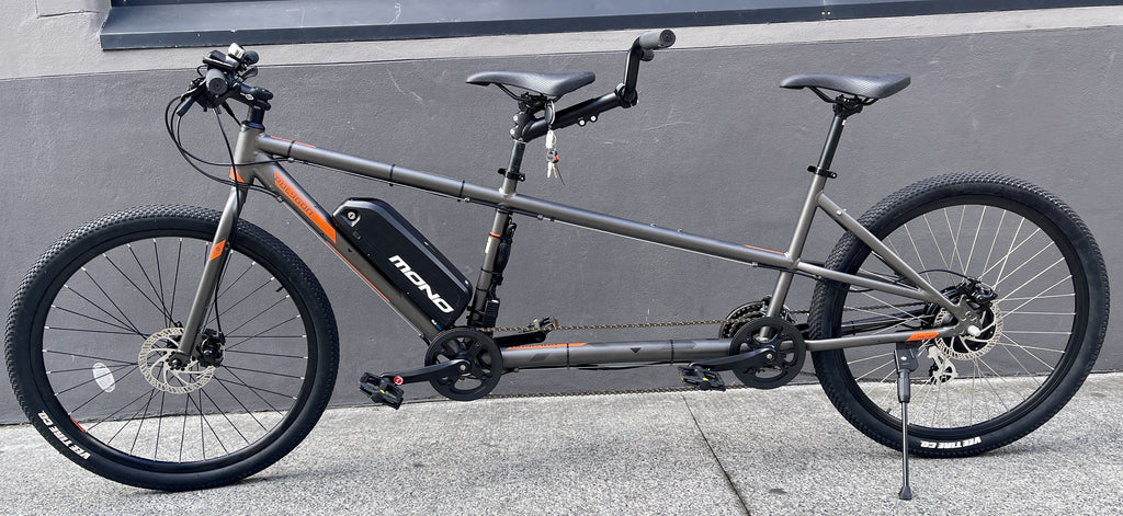 Polygon Electric Bike | sites.unimi.it