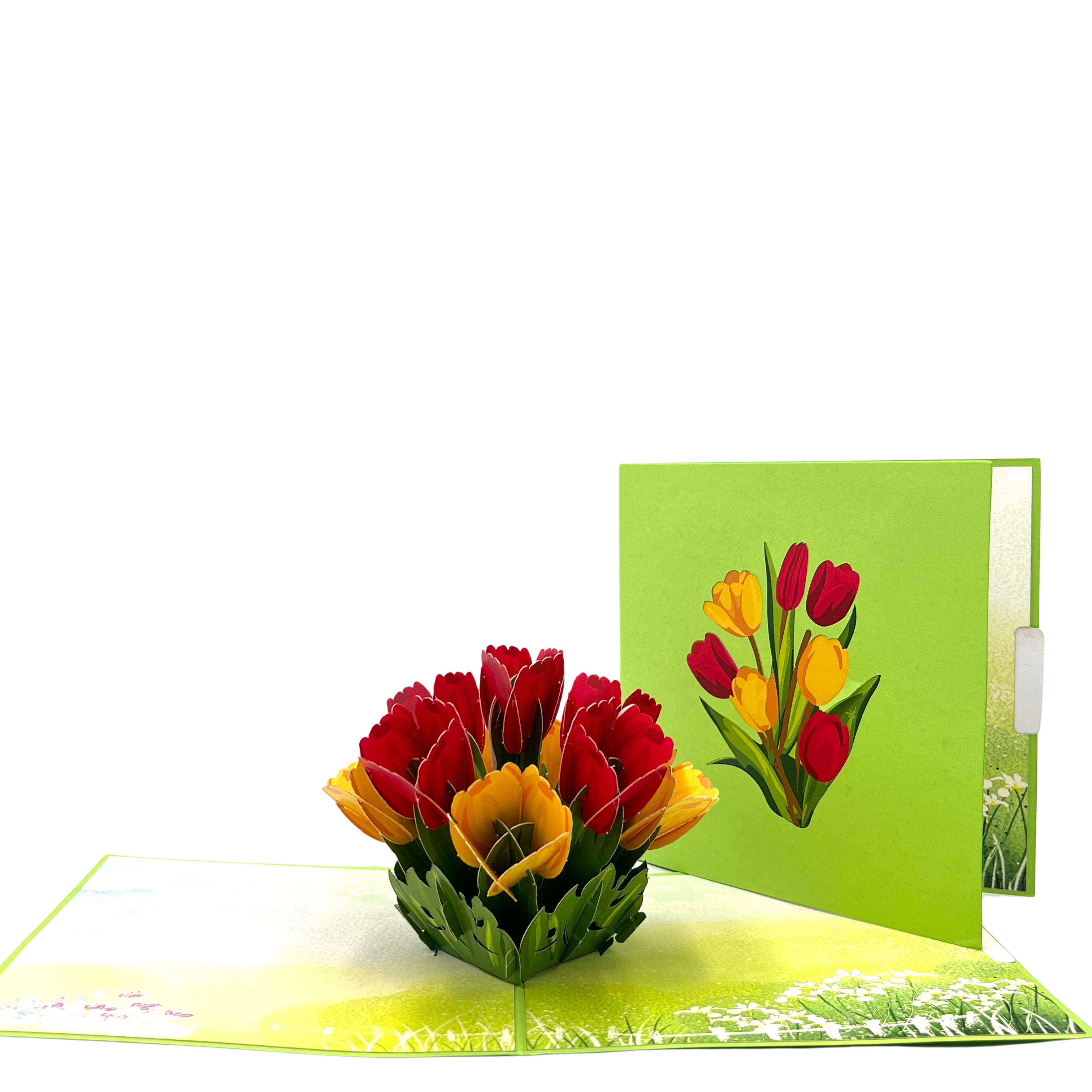 https://cdn.shopify.com/s/files/1/0160/3855/9844/files/Niumcraft-bunch-of-tulips-3D-pop-up-greeting-card-02.png?v=1692631229&width=3024
