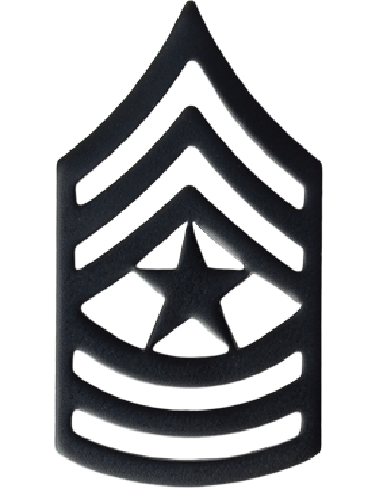 Rank Us Army Enlisted Black Metal Insignias Hahns World Of