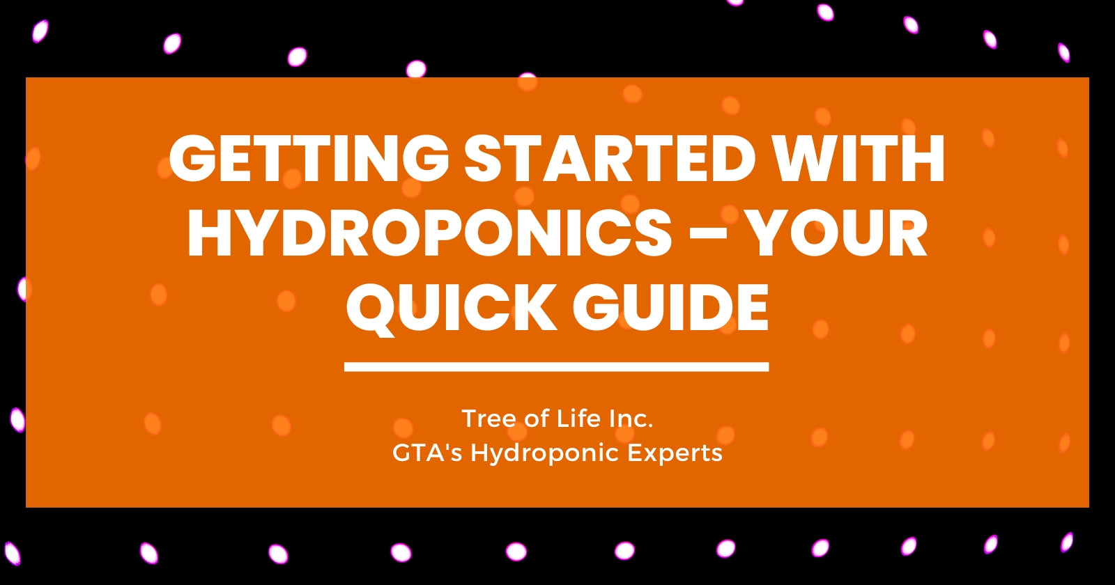 Getting Started With Hydroponics Your Quick Guide Tree Of Life Inc 2305