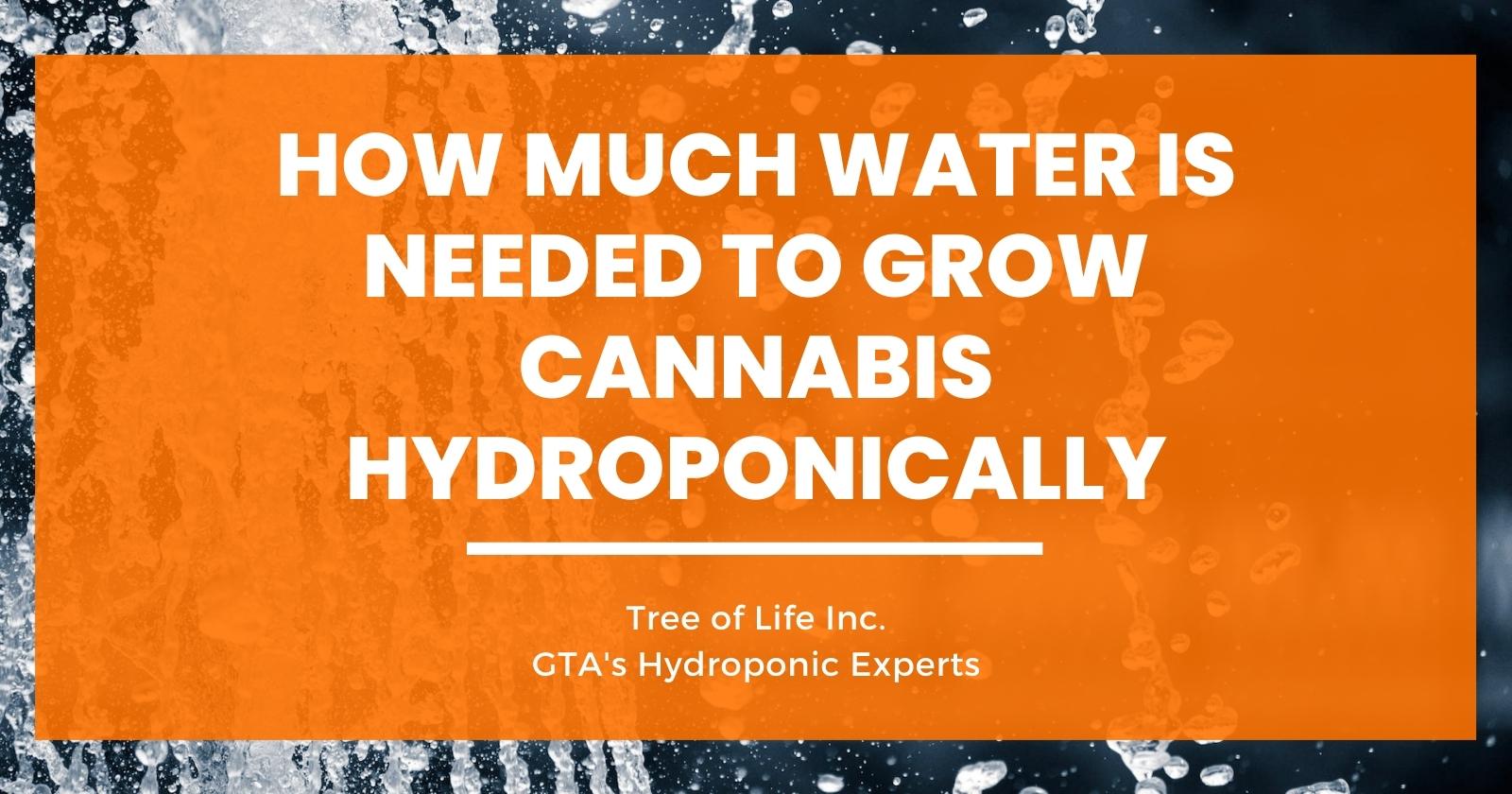 How Much Water Is Needed to Grow Cannabis Hydroponically