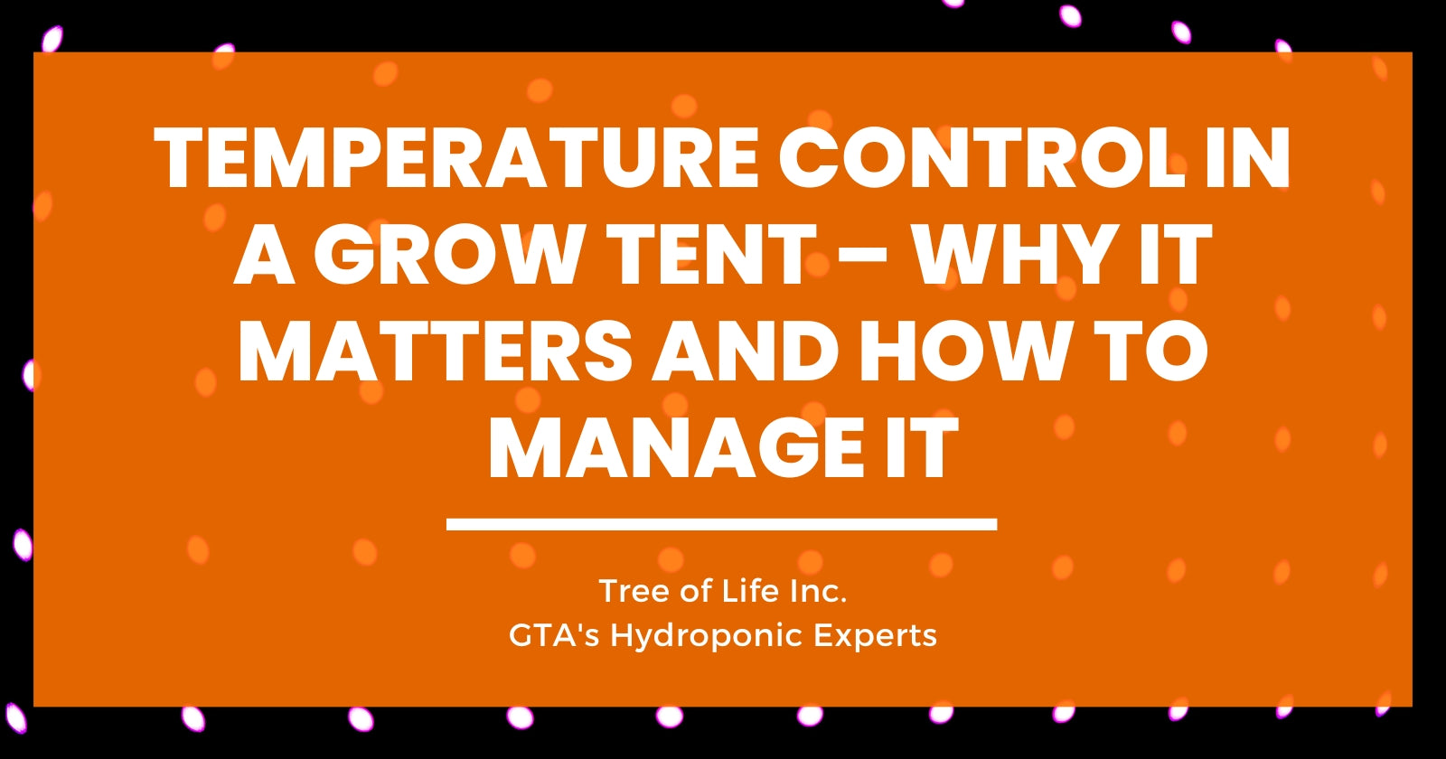Temperature Control in a Grow Tent – Why it Matters and How to Manage It
