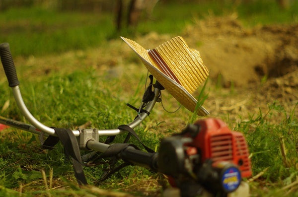 cutting grass