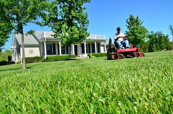 mowing lawn